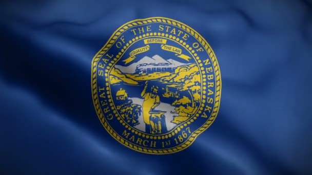 Bandeira do estado do nebraska soprando no vento — Vídeo de Stock