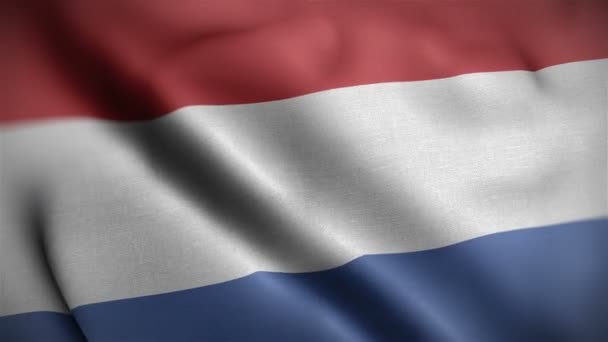 Netherlands flag closeup blowing in wind — Stock video