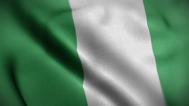 Nigeria bandiera primo piano soffia nel vento — Video Stock