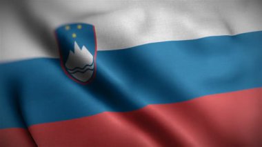 Slovakya bayrağı rüzgarda dalgalanıyor