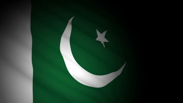 Bandera de Pakistán soplando en el viento — Vídeo de stock