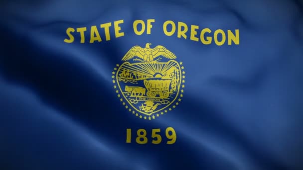 Oregon eyaleti bayrağı rüzgarda dalgalanıyor — Stok video