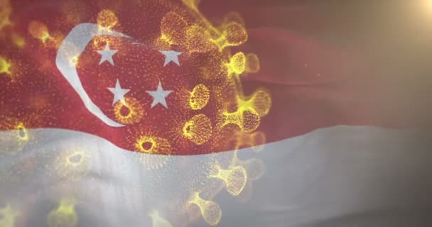 Bandera de Singapur con bacterias del virus corona — Vídeos de Stock
