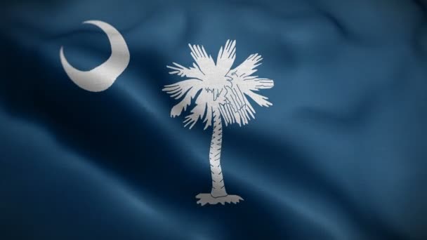 South Carolina statliga flagga som blåser i vinden — Stockvideo