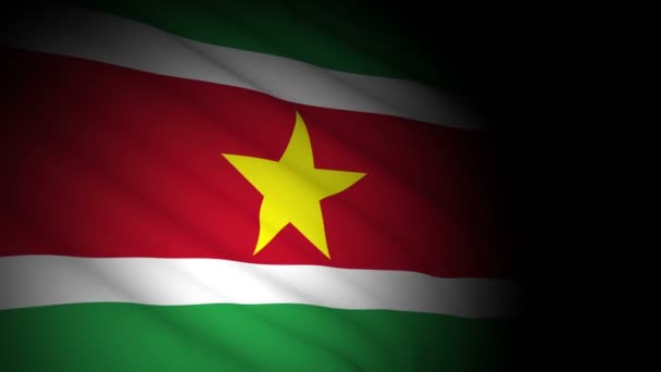 Drapeau suriname soufflant dans le vent — Video