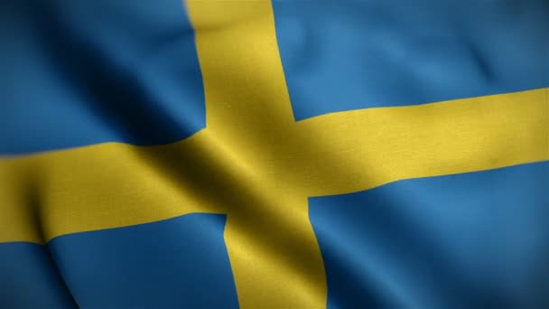 Szwedzka flaga zbliżenie wieje na wietrze — Wideo stockowe
