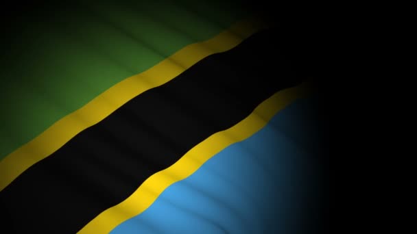 坦赞尼亚旗在风中飘扬 — 图库视频影像