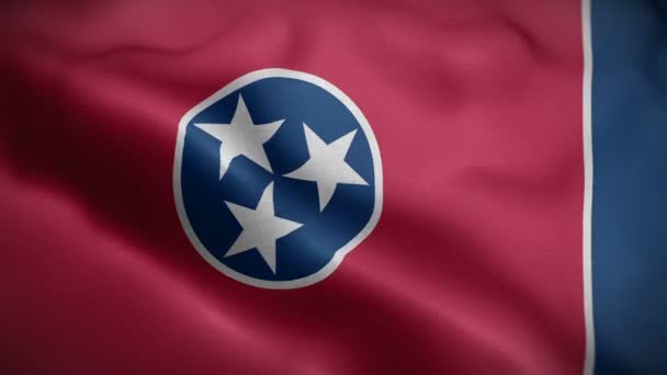 Tennessee state flag blowing in wind — Stock Video