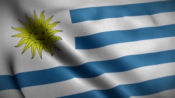 Uruguay flag closeup blowing in wind — Stock Video