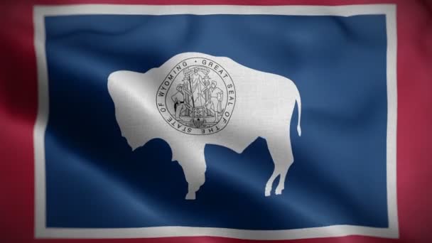 Wyoming state flag blowing in wind — Stok Video