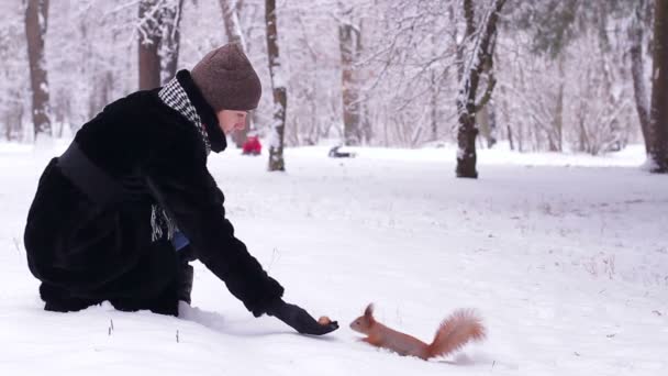 Menina alimenta o esquilo nozes inverno parque — Vídeo de Stock