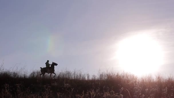 Horseman rider on horse on beautiful background of sunset — Stock Video