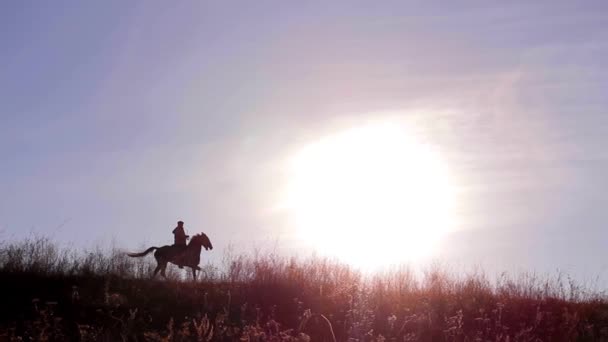 Ryttare på häst på vacker bakgrund av solnedgången — Stockvideo