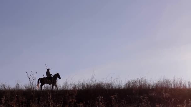 Cavaliere a cavallo su bellissimo sfondo di tramonto — Video Stock