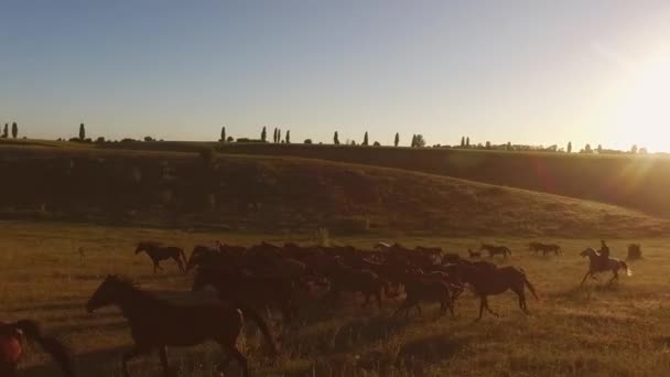 Dos jinetes y caballos de manada corriendo junto a una colina paisajes de campo — Vídeos de Stock