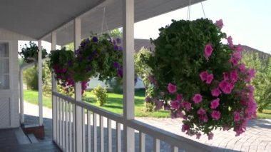 Verandada asılı çiçekler
