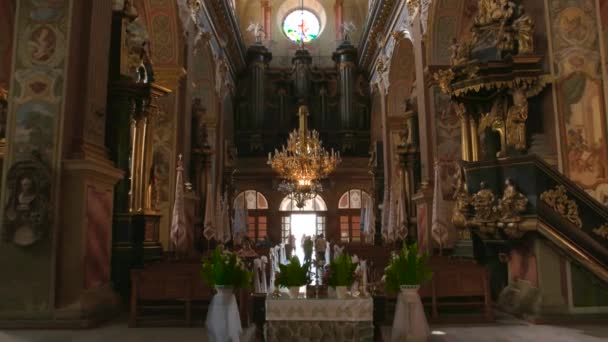 Lviv bernardine iglesia gente hermosa arquitectura — Vídeos de Stock