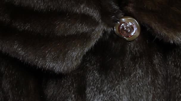 Collar with a button mink coat — Stock Video