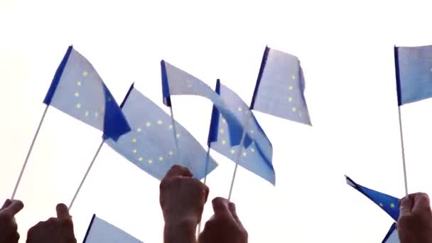 Grupa osób posiadających flagi Unii Europejskiej — Wideo stockowe