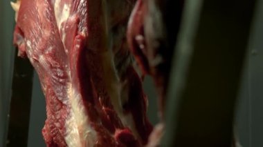 Kancalara asılı taze çiğ et ve soyulmuş et.
