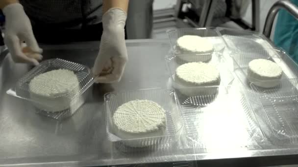 Cheese making process at small producing farm preparation cheese — Stock Video