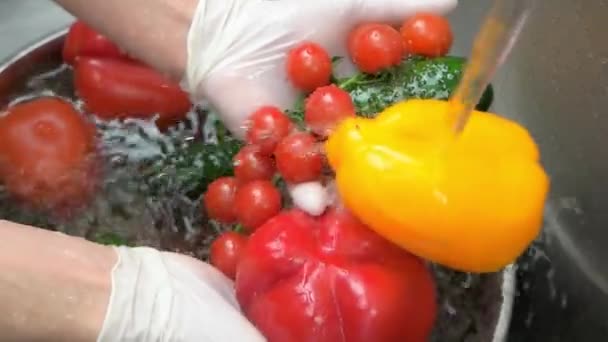 Vegetais coloridos e água alimentos orgânicos close-up — Vídeo de Stock