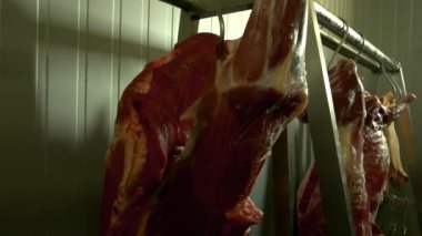 Dondurucuda asılı taze et var.