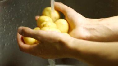  Erkek elleri patates yıkıyor.