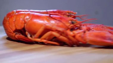 İki haşlanmış ıstakoz masada hareket halinde.