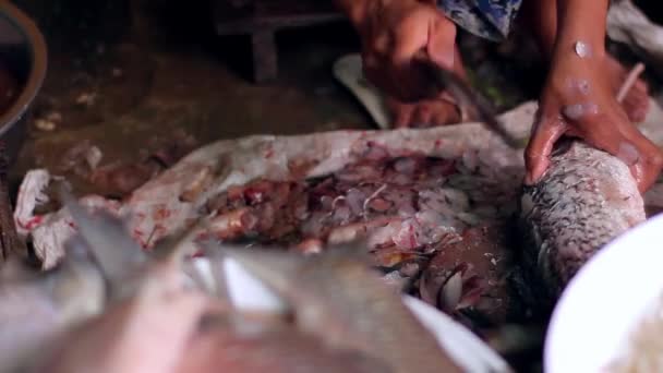 Cięcie ryb na targu rybnym w Indiach — Wideo stockowe