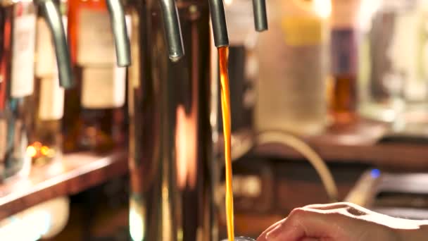 Cerveza oscura relleno y desbordante camarero verter cerveza artesanal oscura — Vídeo de stock