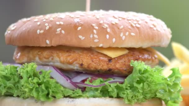 Vynikající burger makro čerstvá zelenina kuře a sýr — Stock video