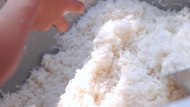 Arroz seco é monges de almoço em Mianmar — Vídeo de Stock