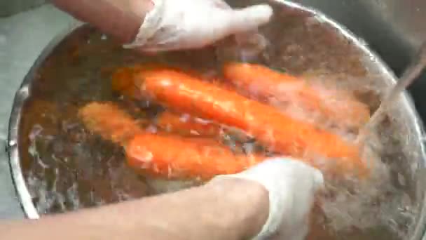 Mani lavaggio carote da vicino luminoso vegetale colorato — Video Stock