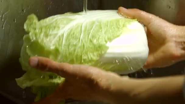 Руки мыть китайская капустная вода льется на китайскую капусту — стоковое видео