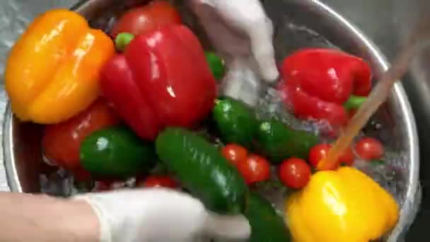 Mãos lavando legumes coloridos páprica tomates e pepinos — Vídeo de Stock