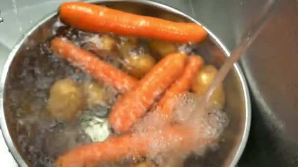 Manos lavando papas y zanahorias — Vídeo de stock