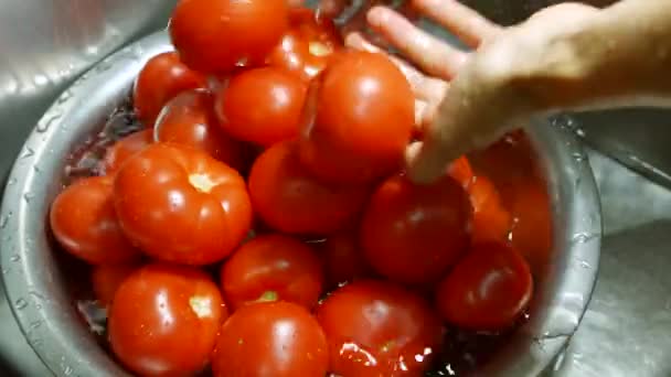 Händer tvätta tomater i handfat vattenflöden på röda tomater — Stockvideo