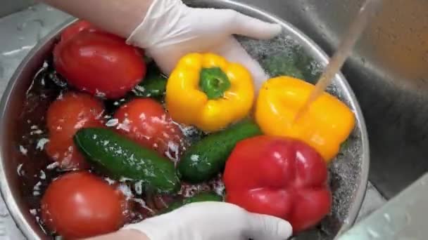 Eller sebzeleri yavaş yavaş taze salatalık ve domateslerle yıkıyor. — Stok video