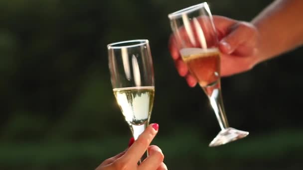Kochająca para kieliszków i pić szampana — Wideo stockowe