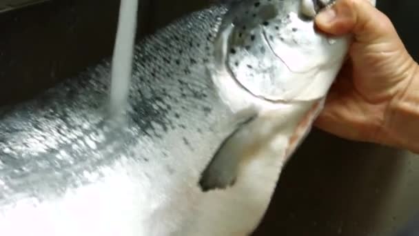 Męskie dłonie trzymające wodę z ryb płynącą na surową rybę — Wideo stockowe
