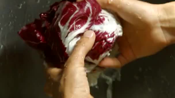 Мужчины руки мыть radicchio красный капуста под водой — стоковое видео