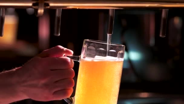 Gießen Sie ein Glas Bier mit wenig Schaum — Stockvideo