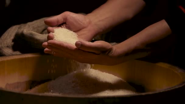 Rice falling from hands raw groats pile natural food high in carbohydrates — Stock Video