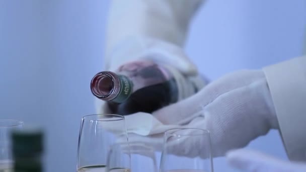 Camarero degustación de vinos vierte vino en las copas — Vídeos de Stock