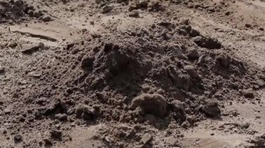 Yer işçisini kazan inşaatçı kirli bir çukur kazıyor ağır iş tarımı yapıyor