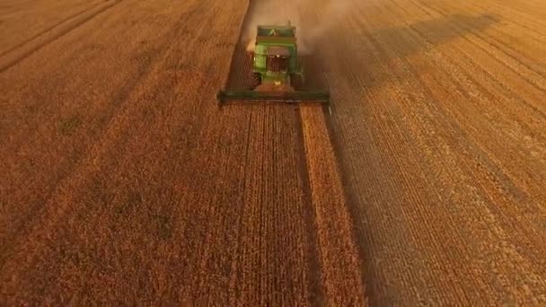 공중에서 본 농업과 기술을 결합 한 모습 — 비디오