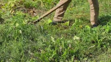 Çiftçi kendi yerine çimleri biçiyor.