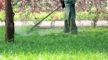 Çim biçme makinesiyle çimleri biçen işçi.