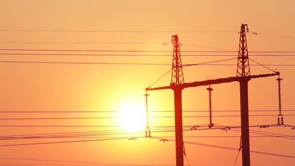 Fili elettrici contro il tramonto bel tramonto — Video Stock